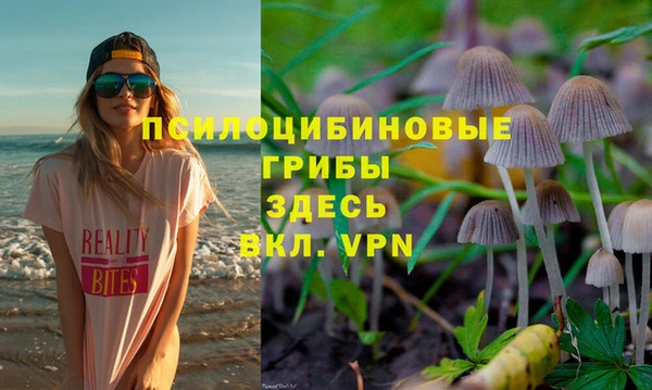 тгк Россошь